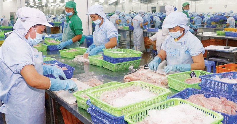 Agro-forestry-fishery products maintain export growth momentum