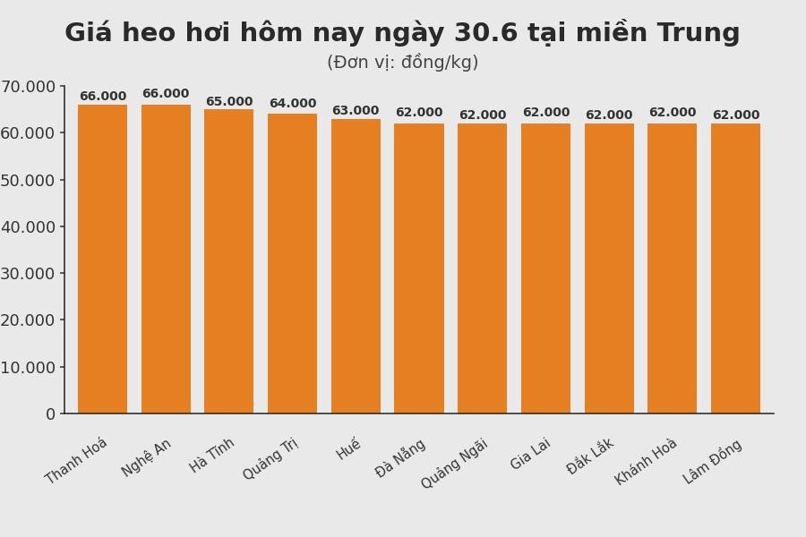 Giá heo hơi hôm nay 30.6 tại khu vực miền Trung. Đồ hoạ: Thuỳ Linh