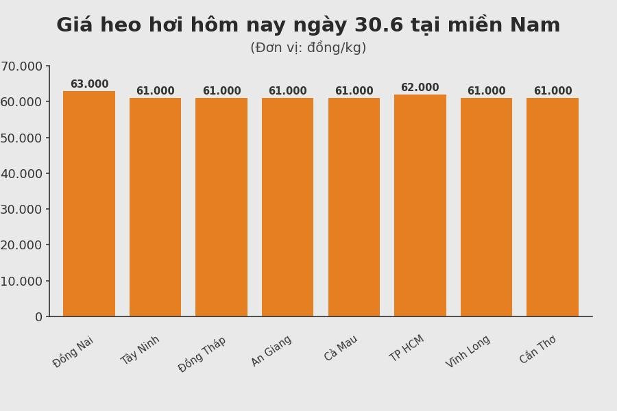 Giá heo hơi hôm nay 30.6 tại khu vực miền Nam. Đồ hoạ: Thuỳ Linh
