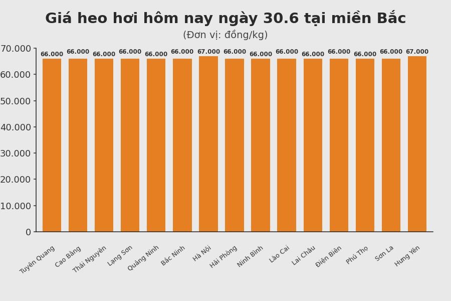 Giá heo hơi hôm nay 30.6 tại khu vực miền Bắc. Đồ hoạ: Thuỳ Linh