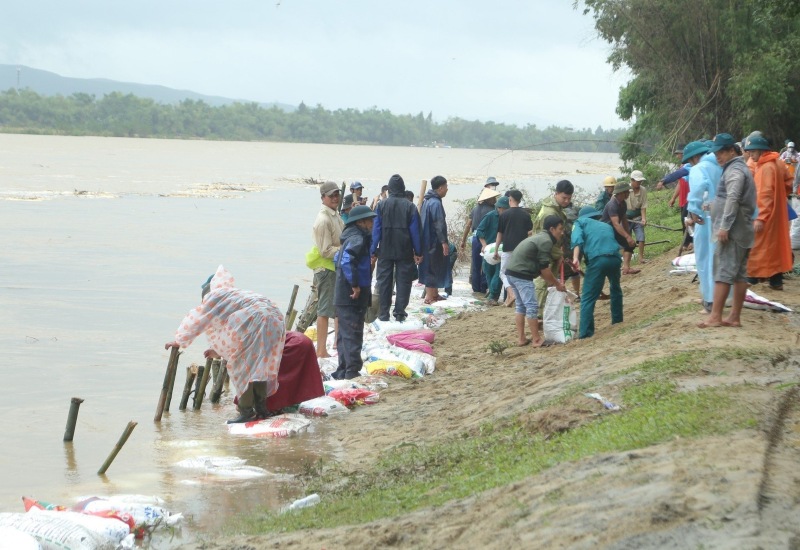 Militia forces and people brave the rain to patch embankments in the face of serious erosion on the Vu Gia riverbank. Photo: Truong An