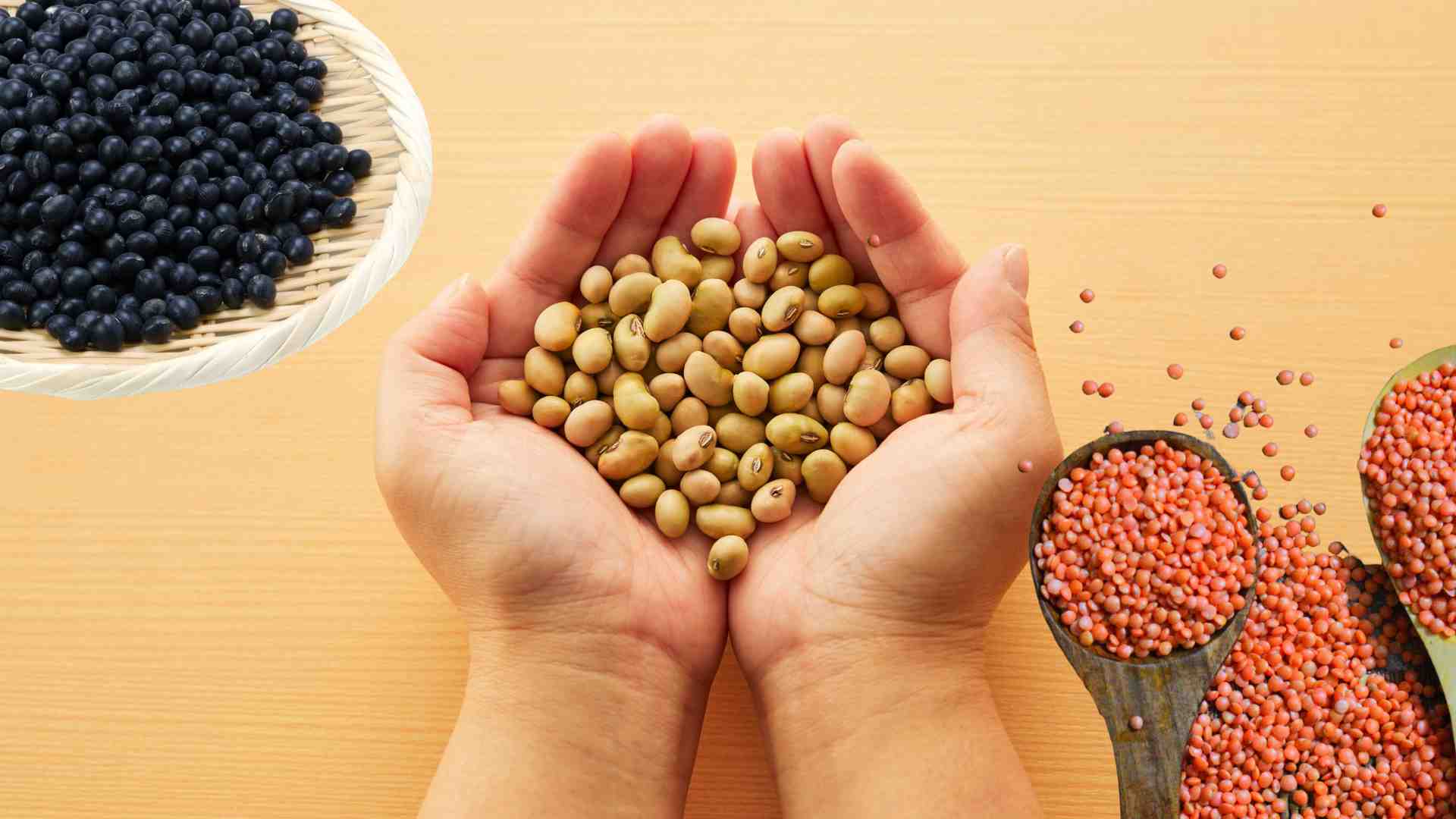 Une carence en magnésium peut provoquer des crampes, l'ajout de certains types de haricots courants aide à réduire la carence en magnésium. Photo graphique: Hà My
