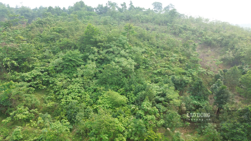 Khu đất triển khai dự án có không gian rộng, thuận lợi cho việc đầu tư đồng bộ hạ tầng kỹ thuật. Ảnh: Đinh Đại