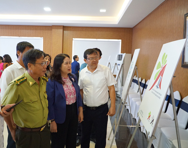 Các thiết kế Logo thể hiện sự sáng tạo và tình yêu vùng đất Gia Lai. Ảnh: Thanh Tuấn 