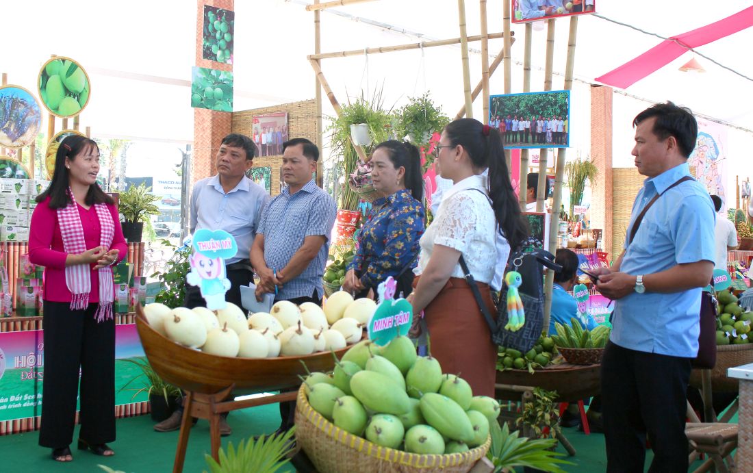 Xoài, trái cây đặc sản của tỉnh Đồng Tháp sẽ chiếm vị trí quan trọng tại Lễ hội Trái cây Đồng Tháp lần thứ I năm 2026. Ảnh: Thanh Mai