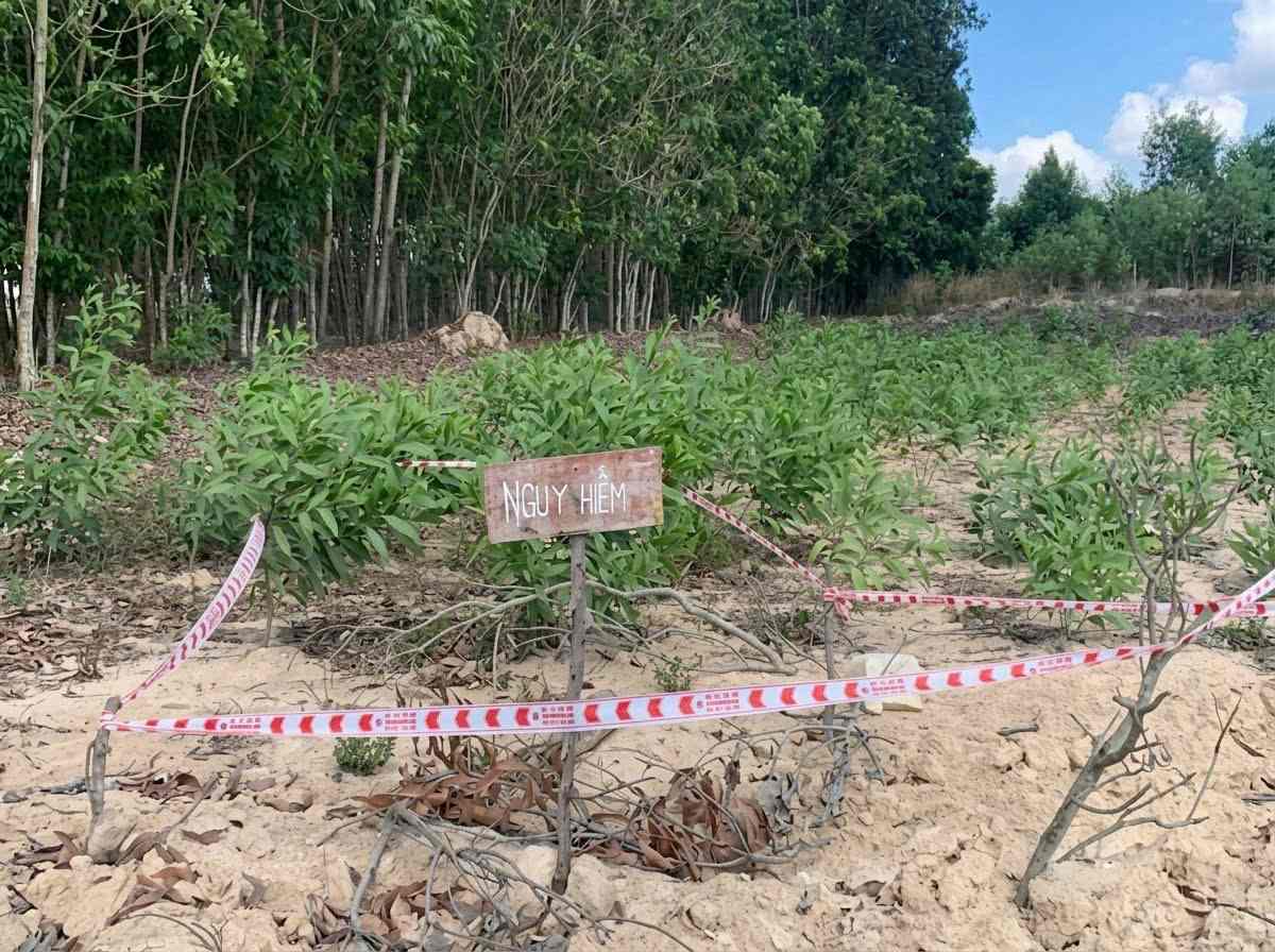Lực lượng chức năng phong tỏa khu vực phát hiện vật thể giống đầu đạn pháo. Ảnh: Nguyễn Giang 