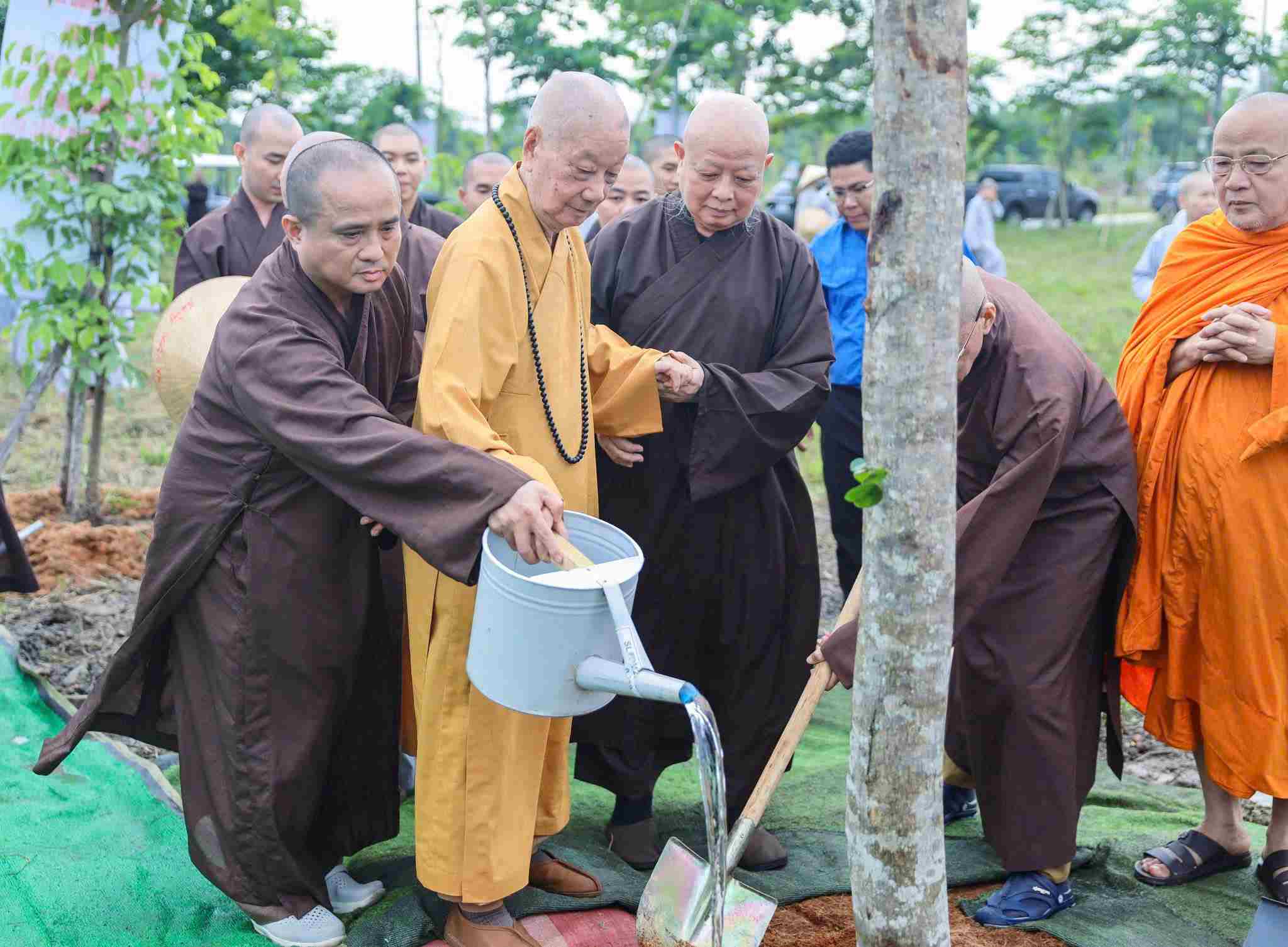 Trồng mới thành công tổng cộng 600 cây Giáng hương trên diện tích khoảng 2 ha. Ảnh: Giác Sự