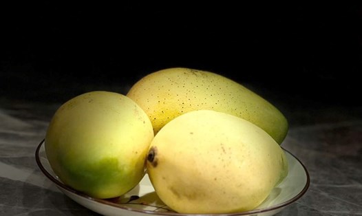 Giá trị dinh dưỡng của xoài kết hợp với sữa