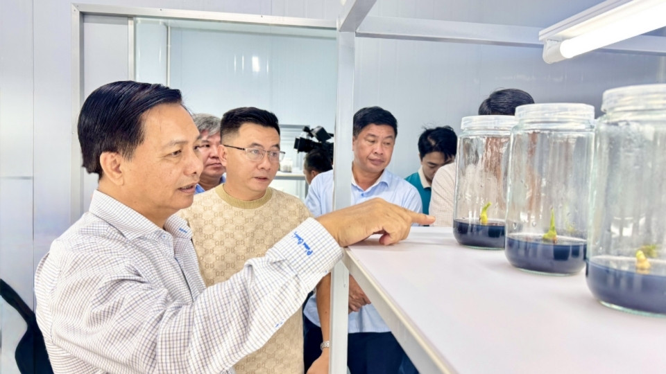 Đoàn công tác tỉnh Vĩnh Long tham quan khu vực sản xuất cây giống ứng dụng công nghệ sinh học tại Công ty ViGen. Ảnh: Hoàng Lộc