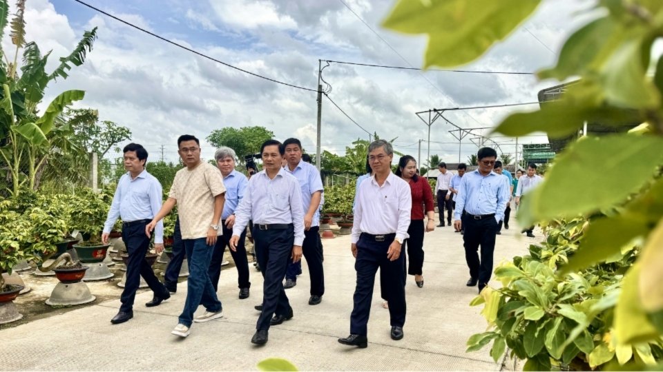 Bí thư Tỉnh ủy Vĩnh Long Trần Văn Lâu khảo sát mô hình sản xuất cây giống nuôi cấy mô công nghệ cao tại Công ty TNHH Công nghệ sinh học ViGen, xã Chợ Lách. Ảnh: Hoàng Lộc