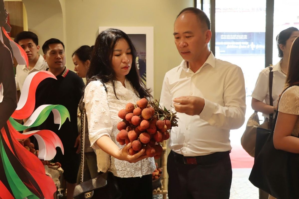At the event space, the seasonal specialties of Bac Ninh are brought directly from the production area to Hanoi