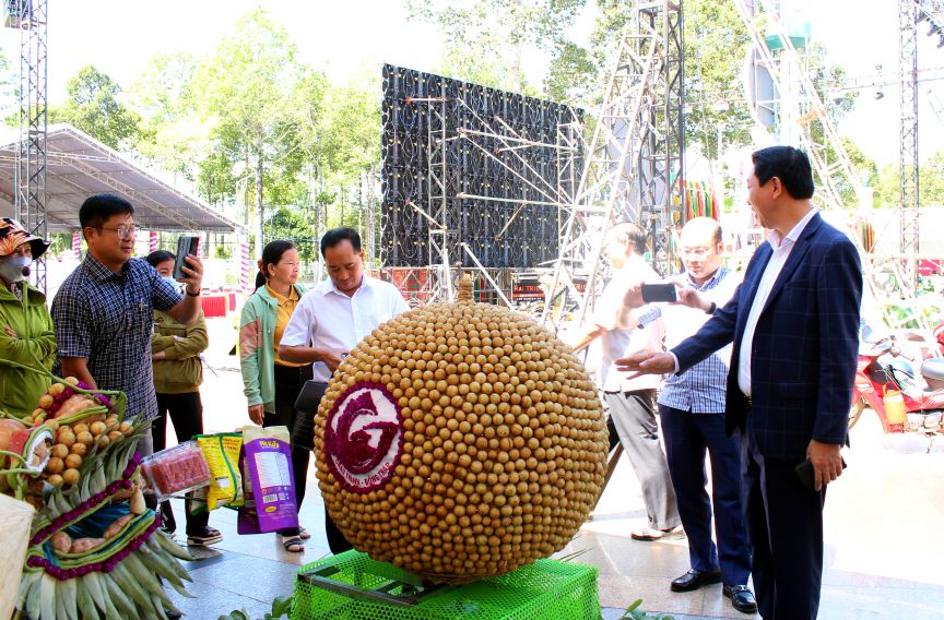 Nhãn của Đồng Tháp tại sự kiện triển lãm trái cây đặc sản. Ảnh: Thanh Mai