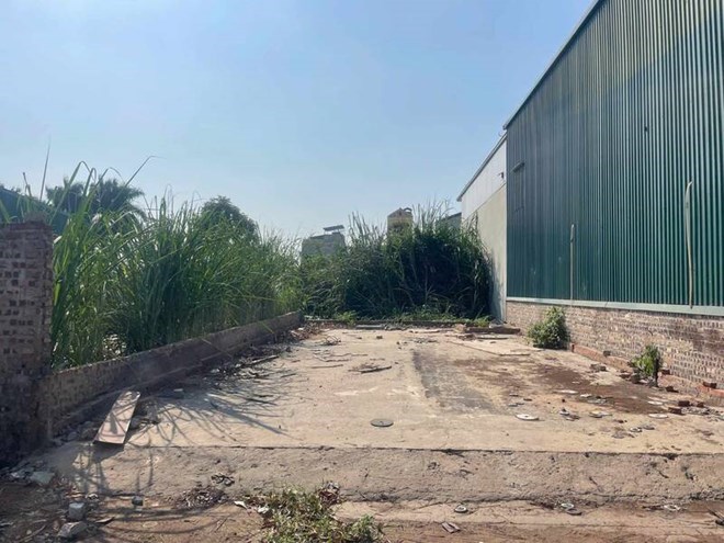 Land plot prices fall sharply. Photo: Thu Giang