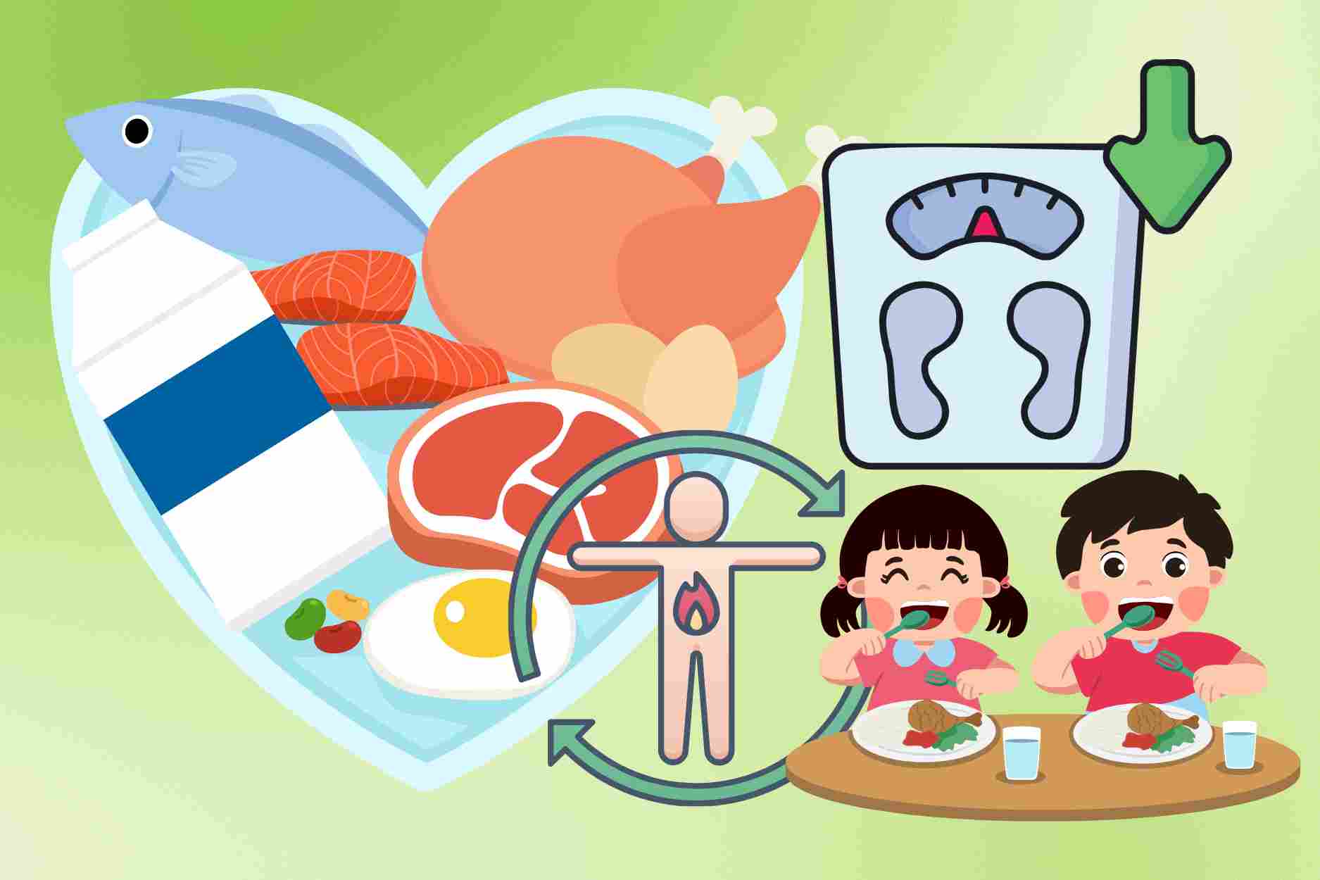 Eating protein properly helps promote metabolism and weight loss