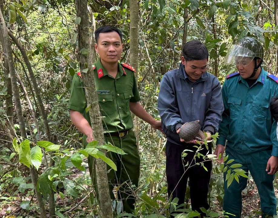 People hand over 1 pangolin individual to functional agencies to release back into the forest. Photo: Police provided