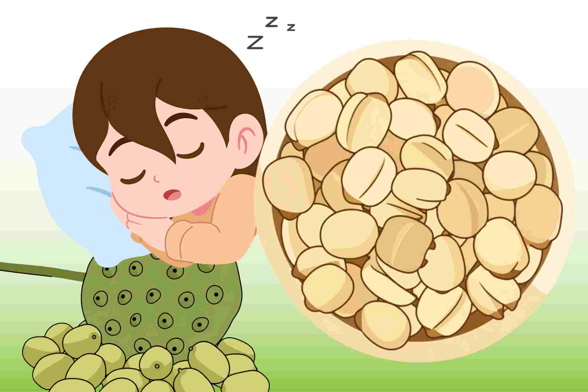 How to eat lotus seeds to help sleep well and reduce stress