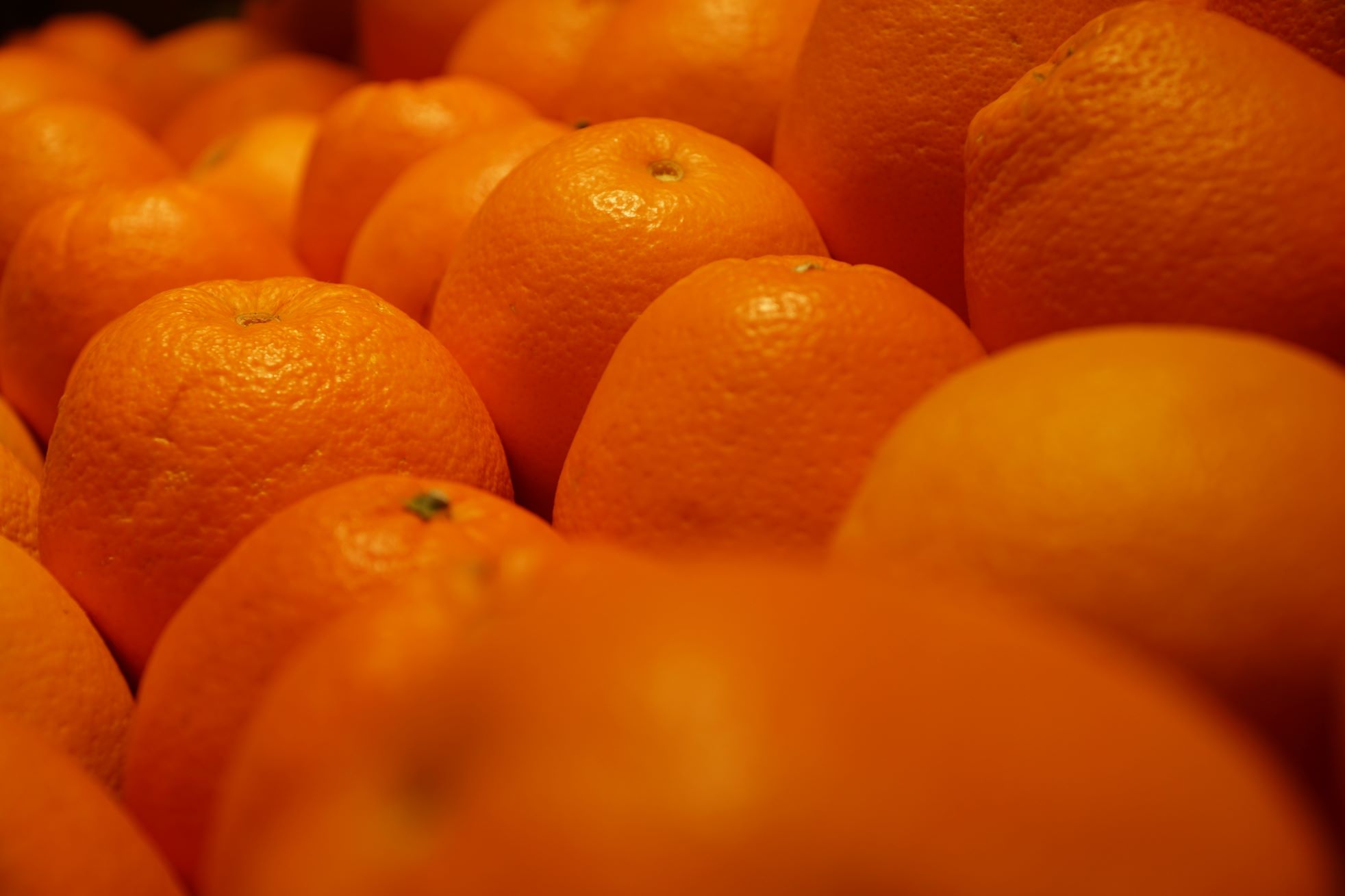 Adding fruit to your daily diet is a habit that helps strengthen health. Photo: Thanh Thanh