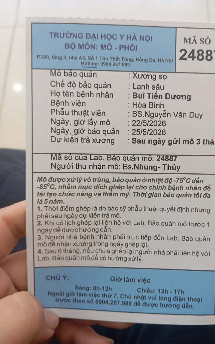 Gi ấy 