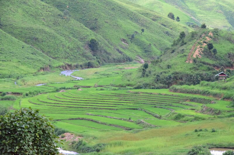 Đồng cỏ và ruộng bậc thang Sam Quảng. Ảnh: Trường Sơn