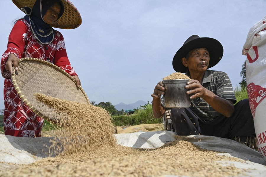 One of the strongest El Nino waves ever recorded is forecast to form in the second half of 2026, leading to hot and dry weather for Asia. Photo: Xinhua