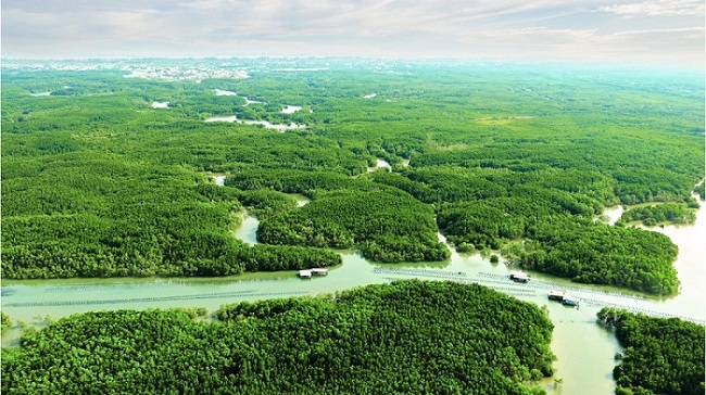 Rừng Sác Cần Giờ kề bên Vinhomes Green Paradise là “thiên đường chữa lành” cho người lớn tuổi 