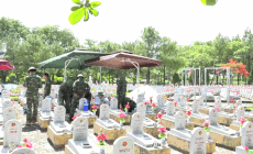 Taking DNA samples of nearly 6,000 martyrs' graves at Road 9 Cemetery. Photo: Quang Tri Provincial Military Command