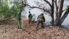 Protection forest fire in Quang Tri, border guard forces are mobilized to extinguish the fire. Photo: Quang Tri Border Guard