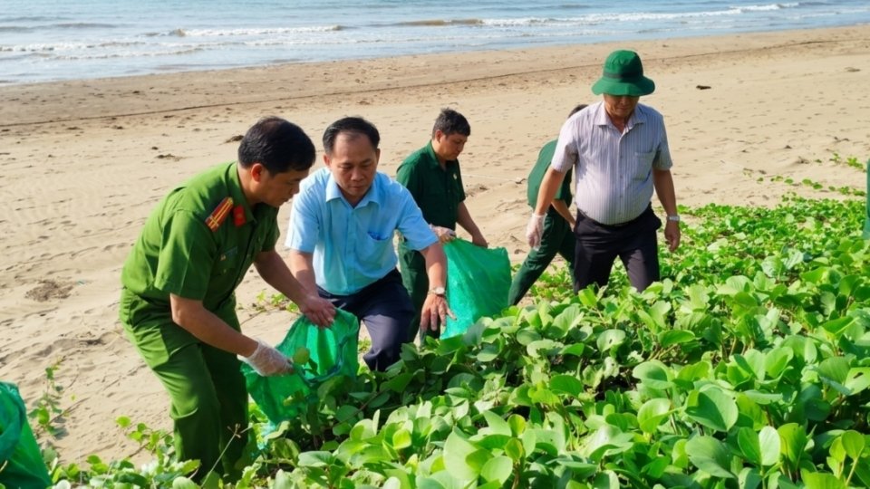 Các lực lượng thu gom rác thải, góp phần giữ gìn cảnh quan bãi biển Ba Động xanh, sạch, đẹp. Ảnh: Hoàng Lộc