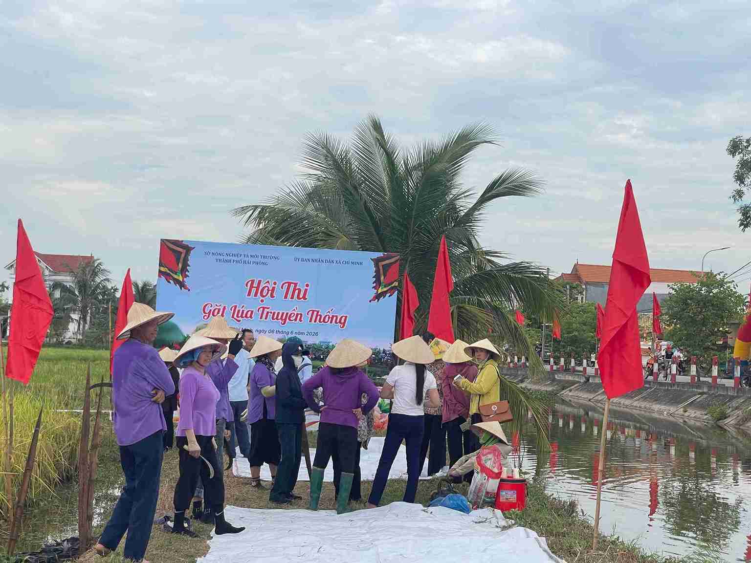 Các đội thi hào hứng tranh tài ở phần thi gặt lúa hữu cơ tại ngày hội.