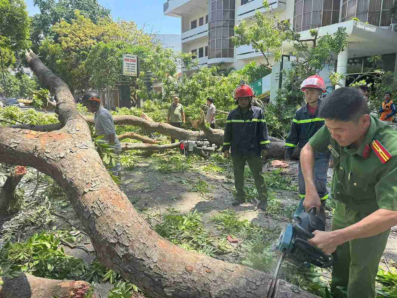 Functional forces rescue a man crushed by a broken green tree. Photo: Police provided