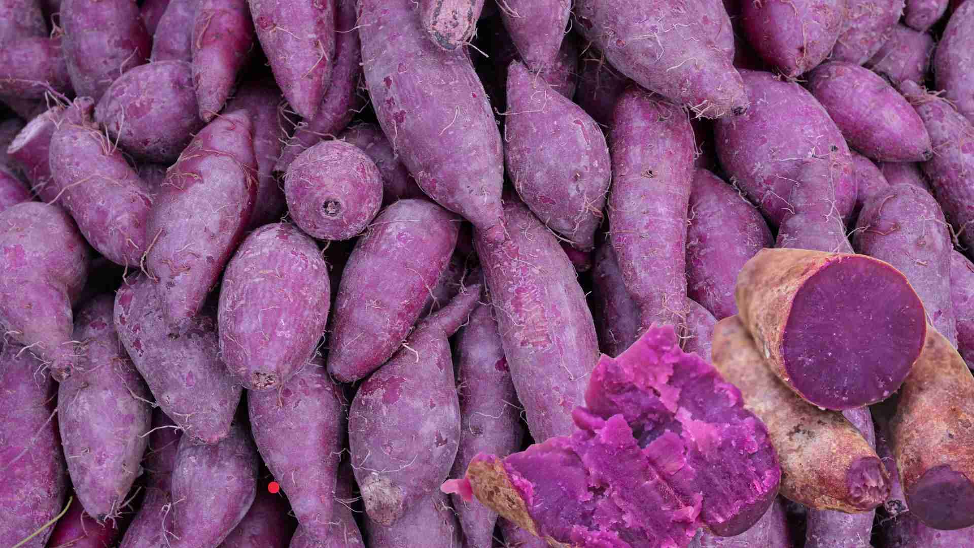 Purple sweet potatoes are not only a familiar food but also effectively support brain nourishing. Graphic photo: Huong Son