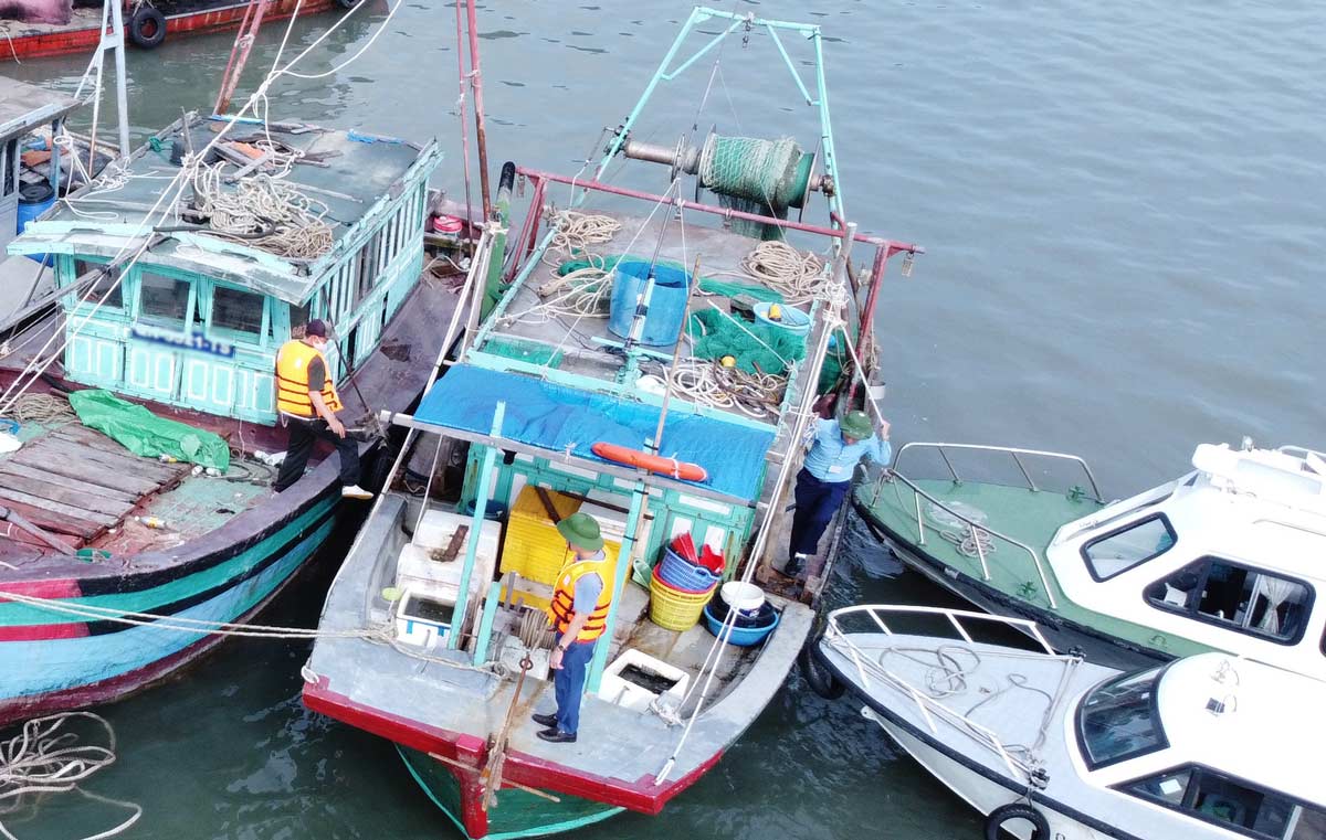 Functional forces inspect and handle fishing vessels and boats anchored in the wrong positions in the coastal area of Ha Long Bay. Photo: Doan Hung