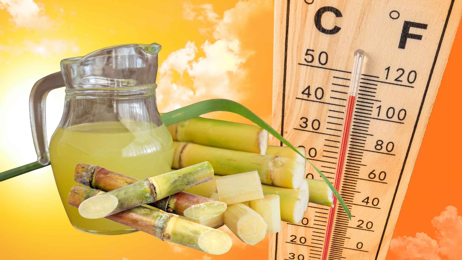 3 groups of people should limit drinking sugarcane juice to cool down in the hot season