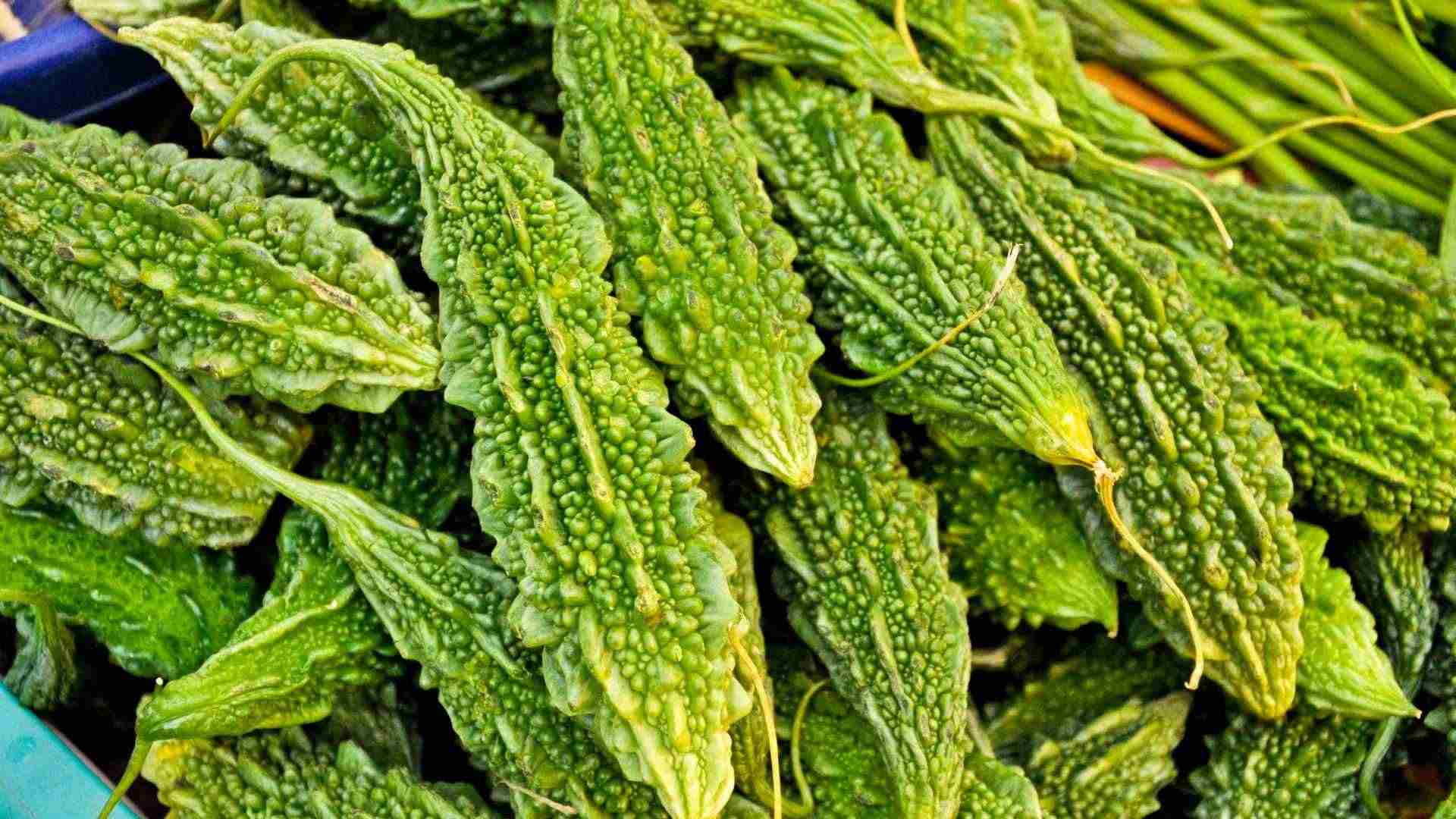 Bitter melon and benefits for people with diabetes and high blood fat