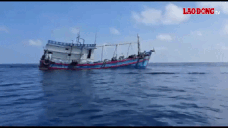 Seizing a ship carrying more than 150,000 liters of illegal DO oil.