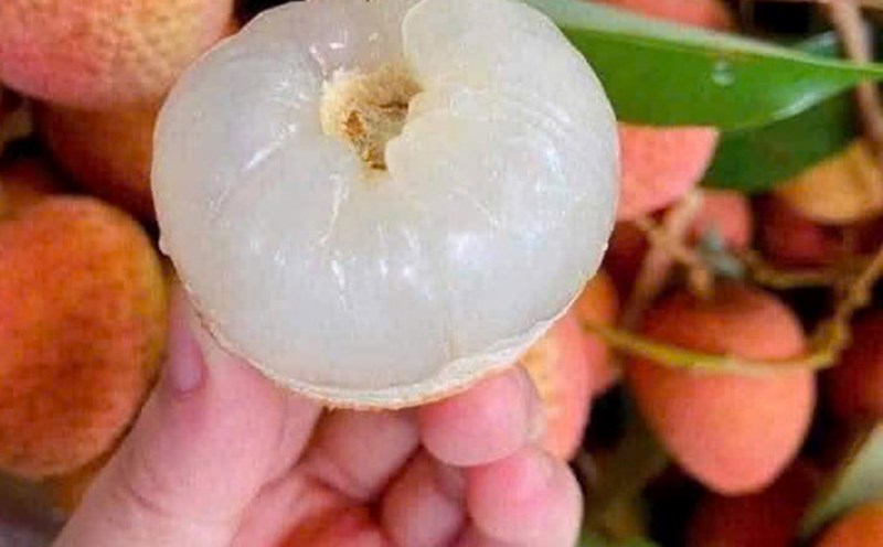 Tips for eating lychees to limit internal heat and acne