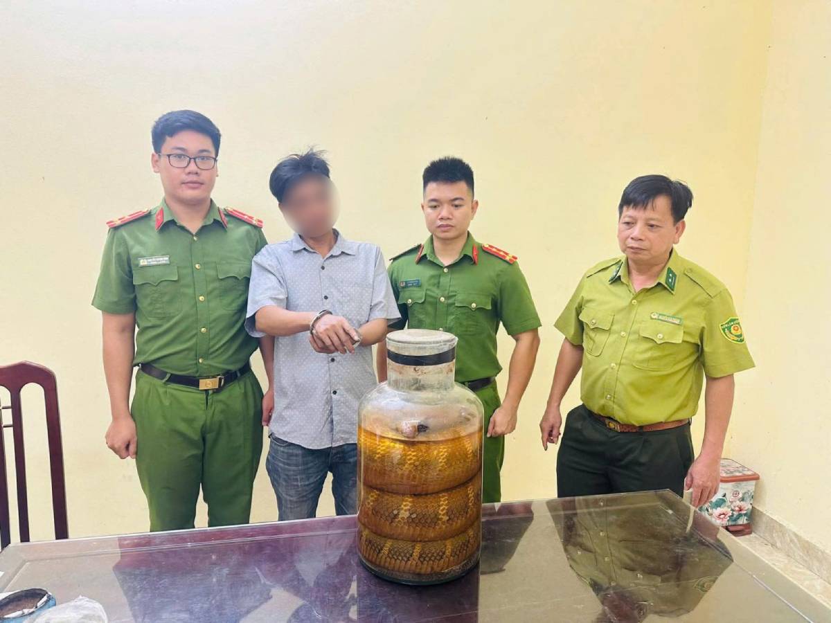 Công an xã Vũ Dương phát hiện vụ việc vận chuyển rắn hổ mang chúa ngâm rượu. Ảnh: Công an Ninh Bình