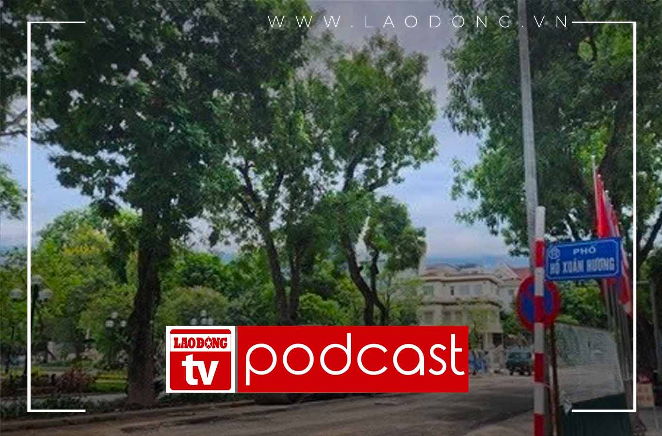 Morning news 8.6: Accelerate the restoration of the road surface on the central streets of Hanoi