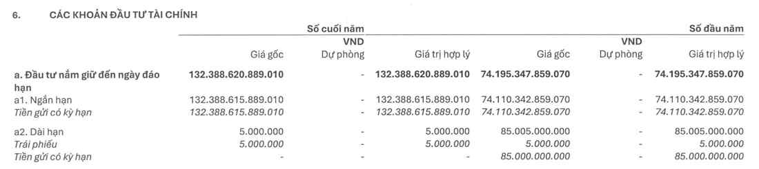 EVN sở hữu lượng tiền gửi lớn. Ảnh: BCTC EVN