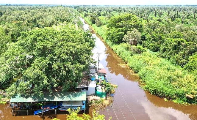 Một góc Vườn quốc gia U Minh Hạ, Cà Mau. Ảnh: Nhật Hồ.