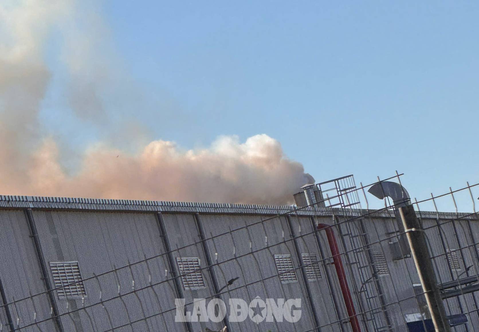 Quang Binh energy pellet factory is reflected to be causing environmental impact. Photo: Van Son