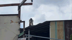 Démolition de maisons pour élargir la route principale de la porte d'entrée est de Hô Chi Minh-Ville.