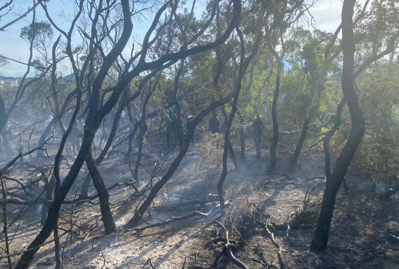 Hundreds of people fighting forest fires in Ky Anh commune. Photo: Hoang Anh