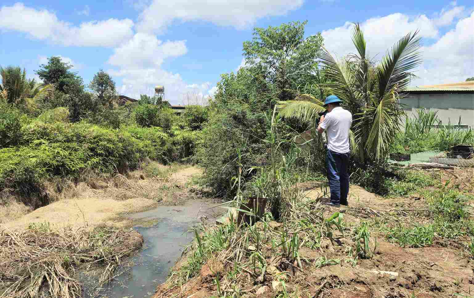 30 days of suspension for Ms. Sen's pig gathering and transshipment point. Photo: Phuc Khanh