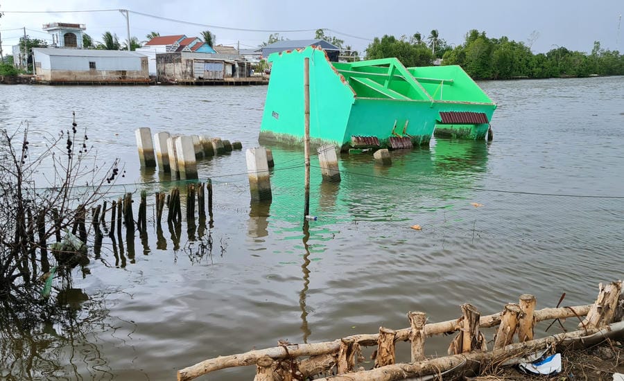 Riverbank erosion in Dam Doi commune, Ca Mau. Photo: Nhat Ho