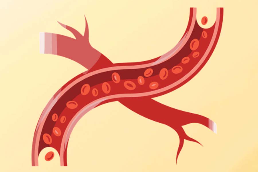 5 habits to help blood circulate better every day