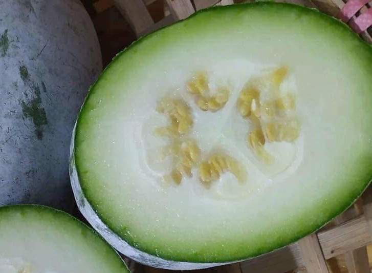 Winter melon is one of the foods that can support kidney support in the hot season. Photo: Kieu Vu