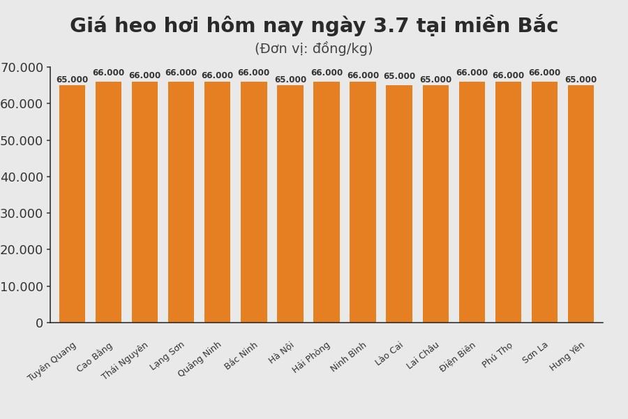 Giá heo hơi hôm nay 3.7 tại khu vực miền Bắc. Đồ hoạ: Sử dụng AI