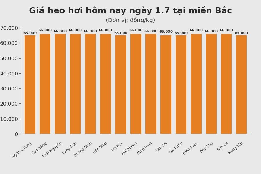 Giá heo hơi hôm nay 1.7 tại khu vực miền Bắc. Đồ hoạ: Thuỳ Linh