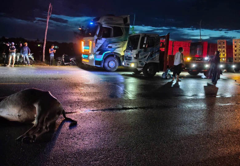 Escena del accidente que causó la muerte de un joven en la comuna de Loc Ha. Foto: Hoang Anh